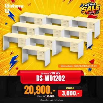 DS-WD1202x10