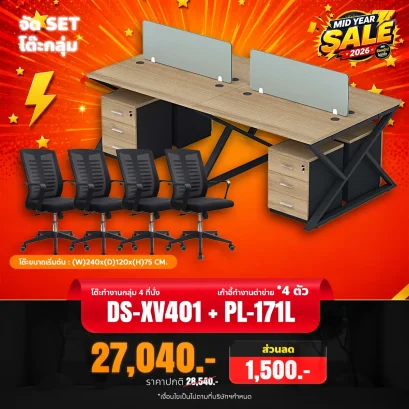 DS-XV401 + PL-171L