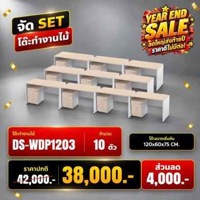 DS-WDP1203x10