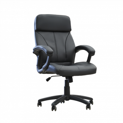 เก้าอี้ผู้บริหารบุหนัง