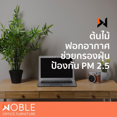 ต้นไม้ฟอกอากาศช่วยกรองฝุ่น ป้องกัน PM 2.5