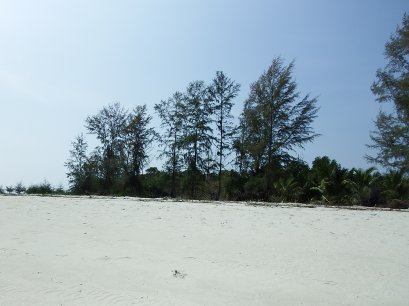 เกาะพยาม ระนอง