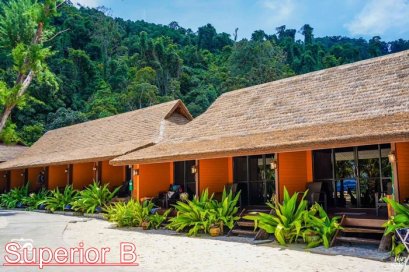 3 วัน 2 คืน ดำน้ำเกาะนาวโอพี