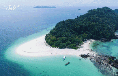 ดำน้ำเกาะซาลิ มัลดีฟทะเลพม่า