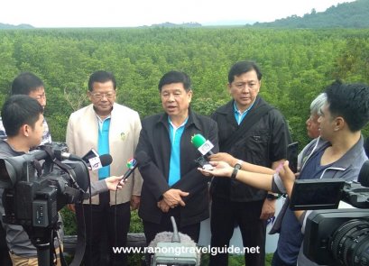 ป่าชายเลนกลางเมือง โกงกางดึกดำบรรพ์ 200 ปี