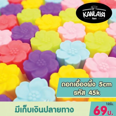 5cm (รหั45 K) เอื้องผึ้ง