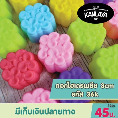 3cm (รหัส36)ไฮเดรนเยีย