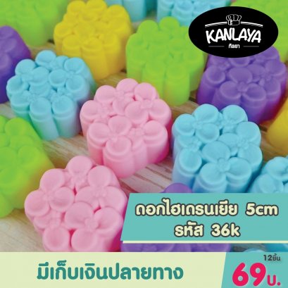 5cm (รหัส36 K) ไฮเดรนเยีย