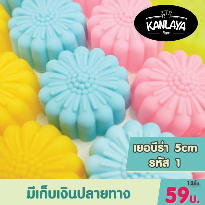 พิมพ์ดอกเยอบีร่า (1) (7.5.3)