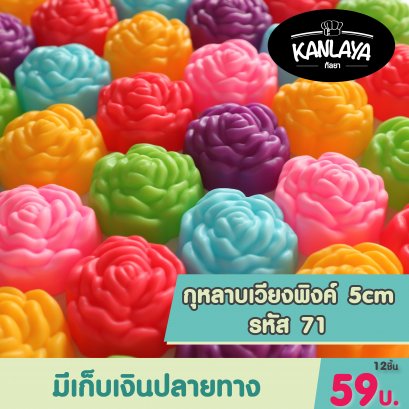 5cm (รหัส71) กุหลาบเวียงพิงค์