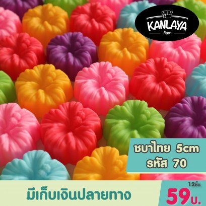 5cm (รหัส70) ชบาไทย