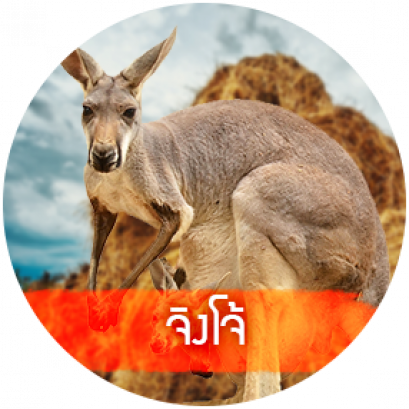 จิงโจ้แคระ หรือวอลลาบี้  