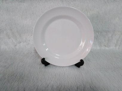 จานทรงตื้น