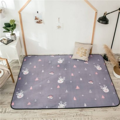 พรม/ที่รองคลาน