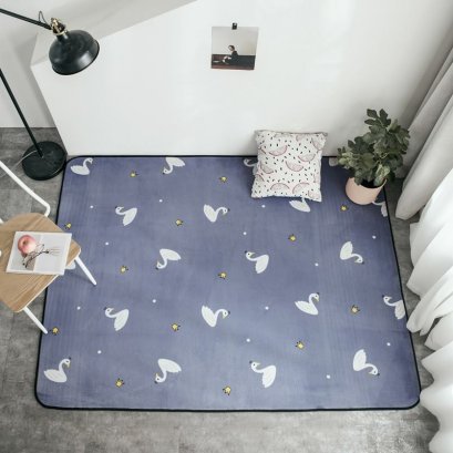 พรม/ที่รองคลาน