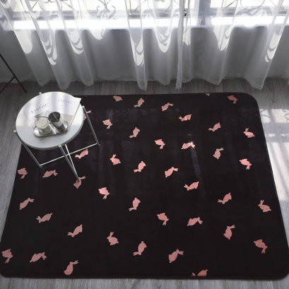 พรม/ที่รองคลาน