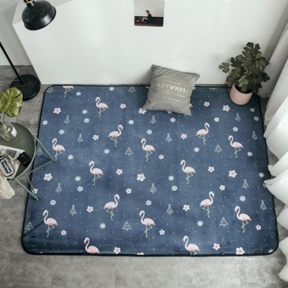 พรม/ที่รองคลาน