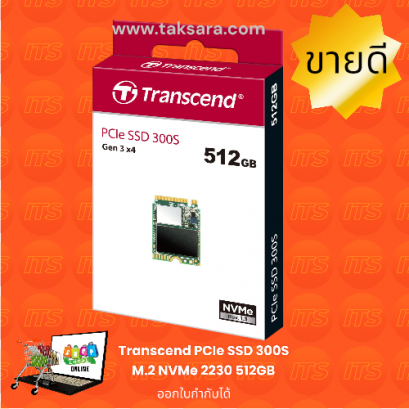 Transcend PCle SSD 300s