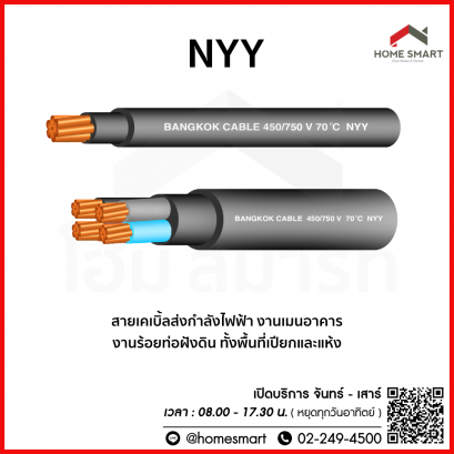 สายไฟ NYY BCC