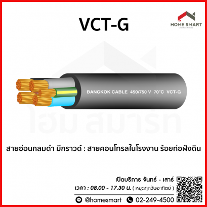 สายไฟ VCT-G BCC