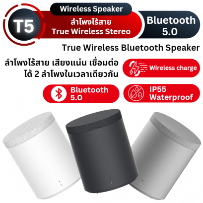 T5 True Wireless Bluetooth Speaker