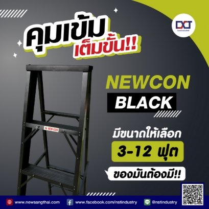  Dark Tall Handsome Aluminium ladder