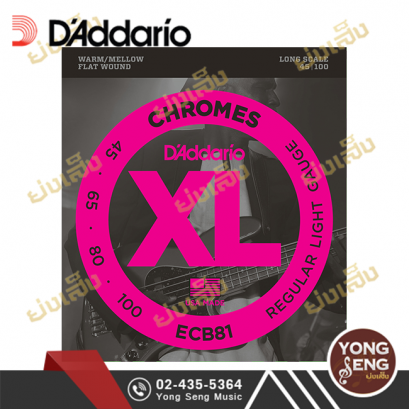 สายกีตาร์เบส D&#039;addario ECB81