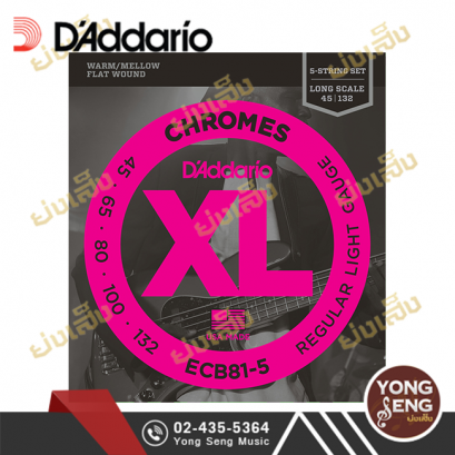 สายกีตาร์เบส D&#039;addario ECB81-5