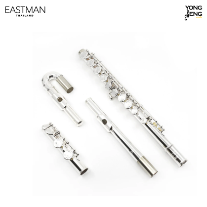 ฟลูต(Curve) Eastman รุ่น EFL210SE-CS