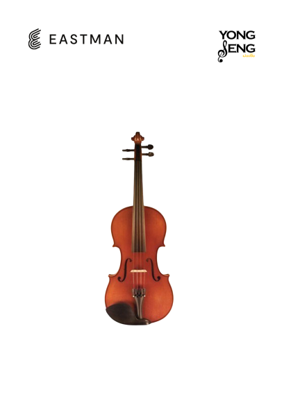 Eastman ไวโอลิน รุ่น VL80T
