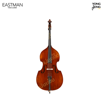 ดับเบิลเบส Eastman รุ่น VB305BT-GR