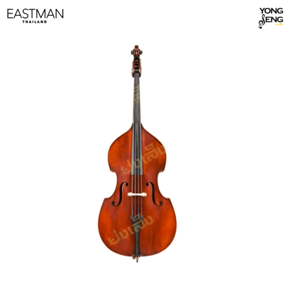 ดับเบิลเบส Eastman รุ่น VB95BT-GR