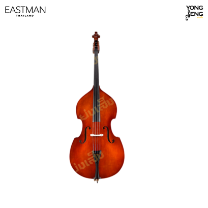 ดับเบิลเบส Eastman รุ่น VB80BT-GR