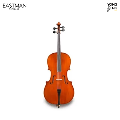 เชลโล Eastman รุ่น VC100T