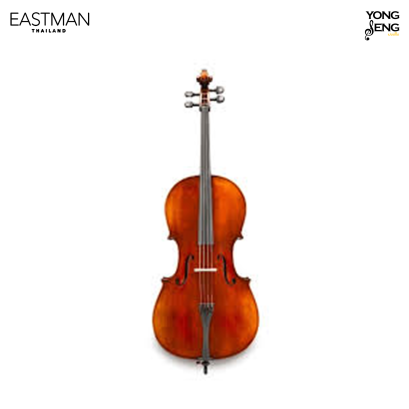 เชลโล Eastman รุ่น VC80T