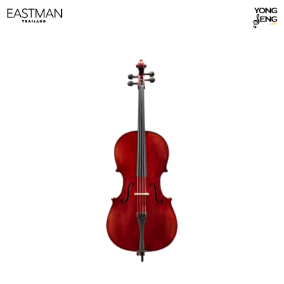 เชลโล Eastman รุ่น VC501T