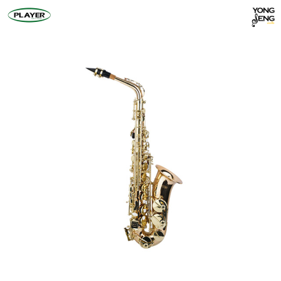 Player Alto Saxophone PAS-250L