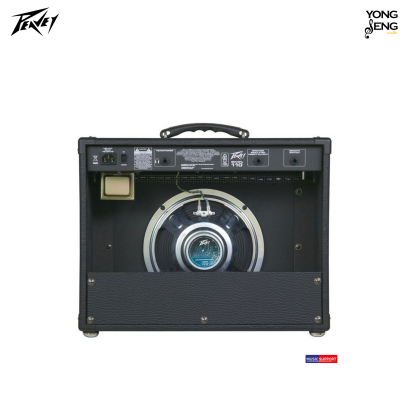 แอมป์กีตาร์ไฟฟ้า Peavey (40 Watts) รหัส ENVOY 110