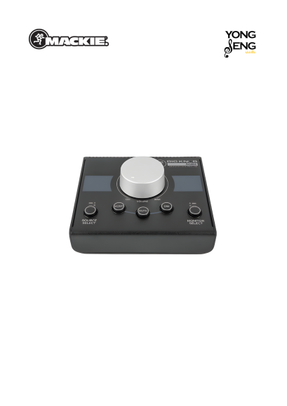 Mackie Big Knob Passive