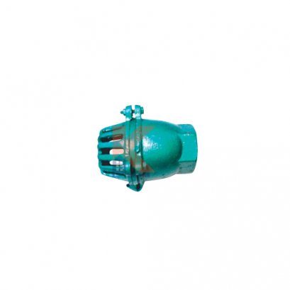 หัวกะโหลกเหล็กหล่อเขียว