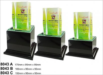ถ้วยรางวัลคริสตัล 8043