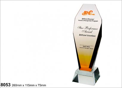 ถ้วยรางวัลคริสตัล 8053