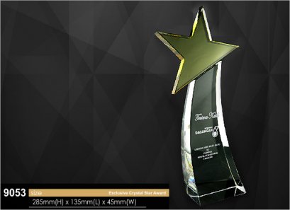 ถ้วยรางวัลคริสตัล รหัส 9053