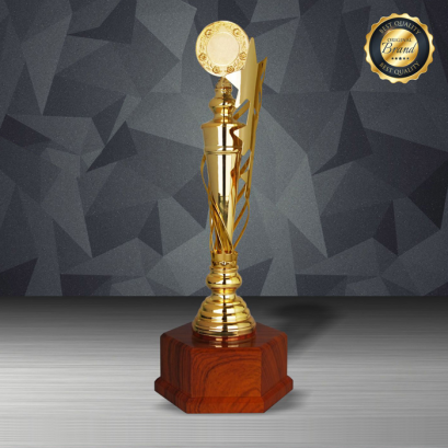 ถ้วยรางวัลซิลเวอร์ รหัส Ws6201