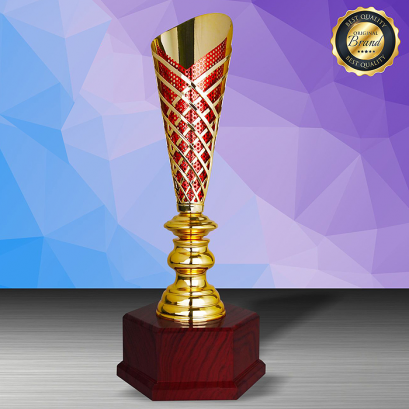 ถ้วยรางวัลซิลเวอร์ สินค้า Ws6206