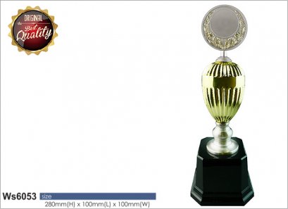 ถ้วยรางวัลซิลเวอร์ สินค้า Ws6053