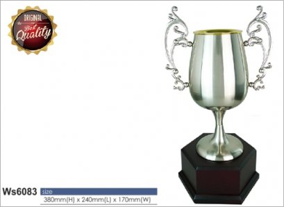 ถ้วยรางวัลซิลเวอร์ สินค้า Ws6083