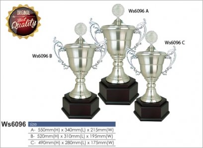 ถ้วยรางวัลโลหะ 6096