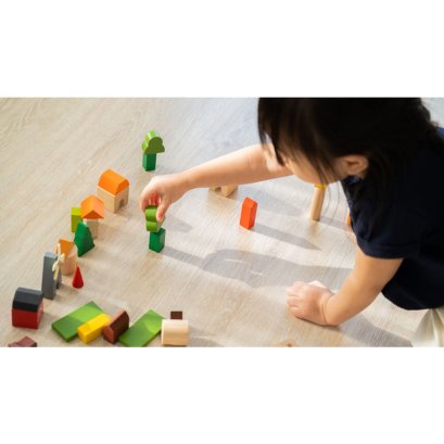 PlanToys ชุดบล็อกเมืองชนบท เซตใหญ่ Countryside Blocks