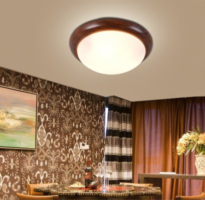 โคมไฟเพดาน  3009